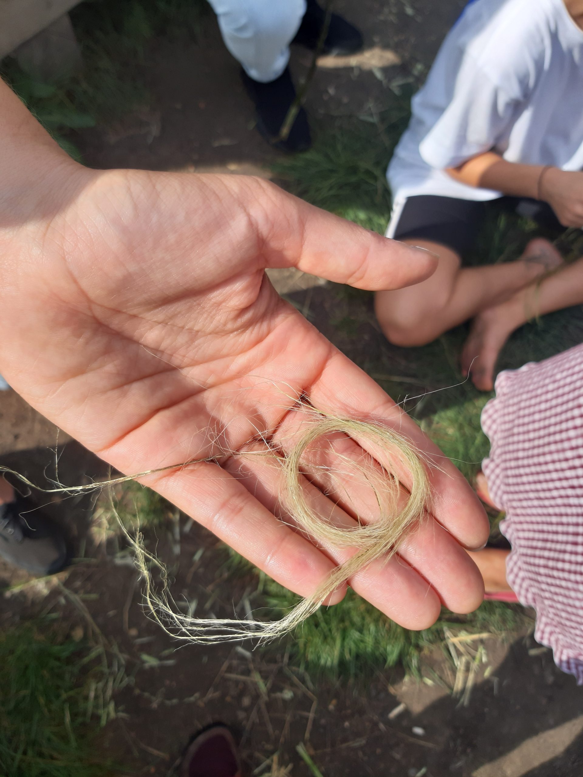 Nettle cordage and sustainable fibre making – Urban Outdoors