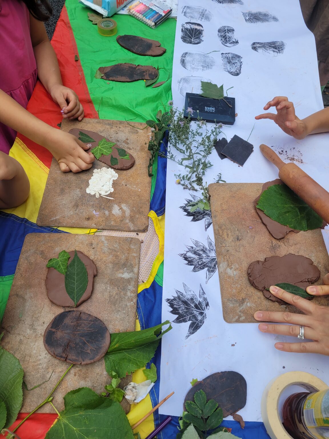 Baynes Street Forest School after school forest school club Summer